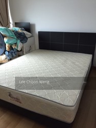 Eight Riversuites (D12), Condominium #205588911
